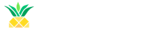 Datasplash Logo
